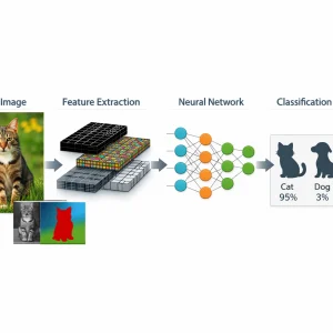 How image recognition works step by step